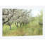 " Apple Orchard " by Lupen Grainne-72783368-72783369-72783370