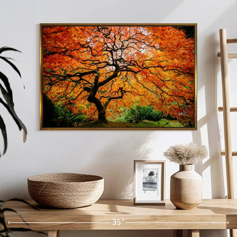Automne érable japonais, 25 po x 17 po, Cadre flottant doré