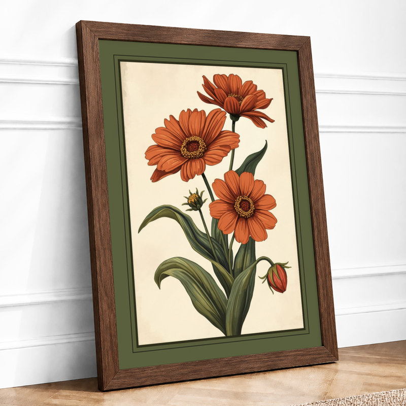 Gerbera Daisies Study Botanical - Framed Print, Walnut, A3 - 42.0 x 29.7 cm