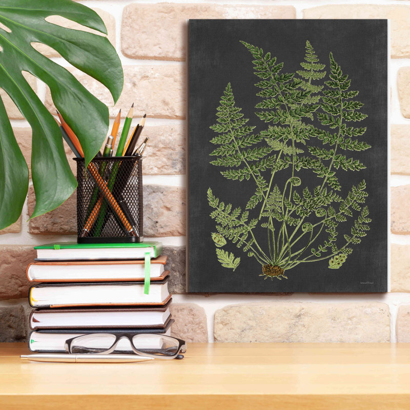 «Fern Study» par Lettered & Lined, estampe numérique sur toile, H 16 po x l 12 po x P 0,75 po