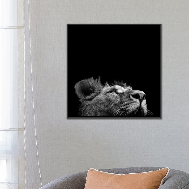 « lion ii », reproduction de photo sur toile, H 18 po x l 18 po x P 1,5 po, Toile avec cadre noir, Pas de tapis