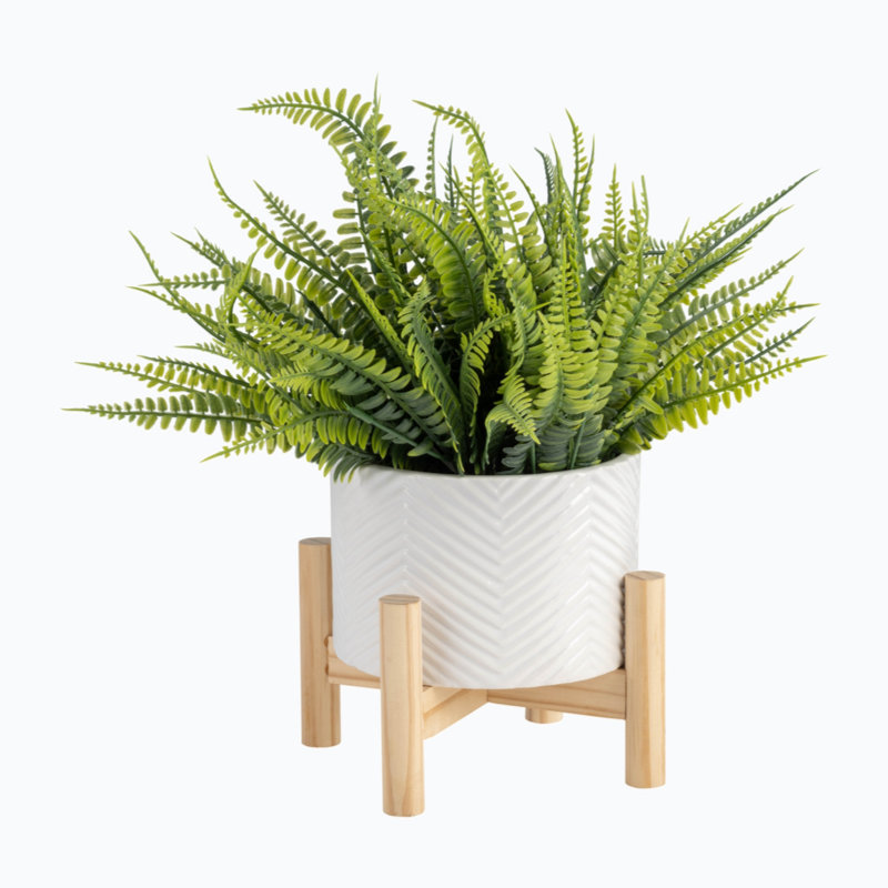 Yader Ceramic Pot Planter