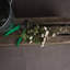 Anastasija Arrangement-836097352