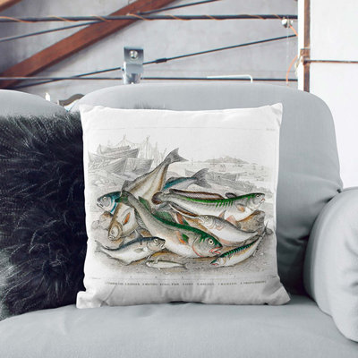 Square Throw Cushion