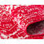 Oriental Area Rug-303274075