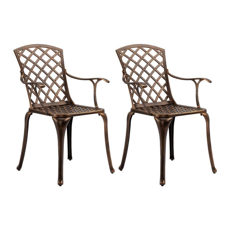 Chaises de salle à manger d'extérieur en aluminium coulé bronze (ensemble de 2)
