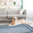 Bimlesh Rectangle Area Rug Blue multi-layered border - Washable, Foldable, Non-Slip Area Carpet for Living Room-1327855626