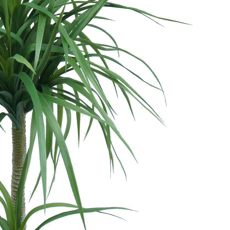 Annitte Faux Palm Tree in Pot Liner, 90cm H x 60cm W x 60cm D