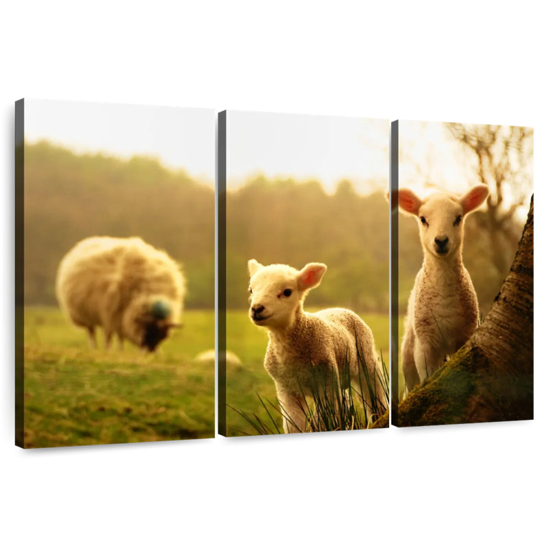 Brampt Baby Lambs, 28" H x 45" W