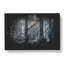Pine Tree Forest - Wrapped Canvas-56647866