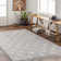 Airik Indoor Rug