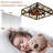 Magdelana 18" Vintage Industrial Ceiling Fan with Lights and Remote, Reversible DC Motor