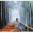 " Winter Park Boulevard " Painting Print