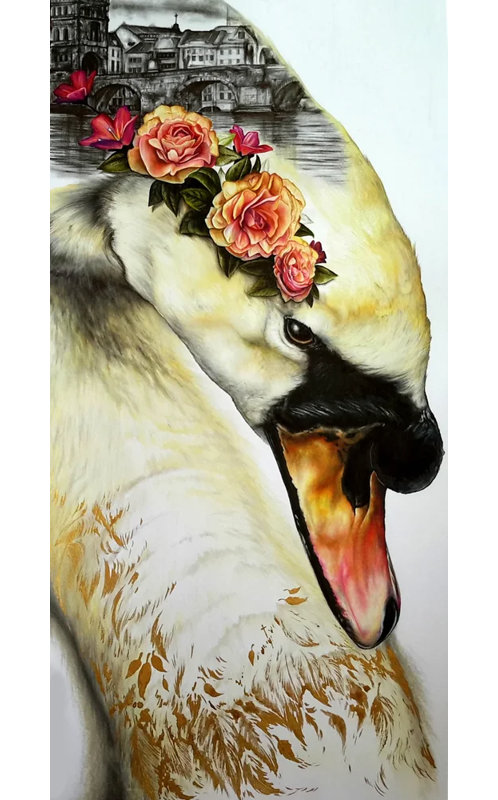 CISNE