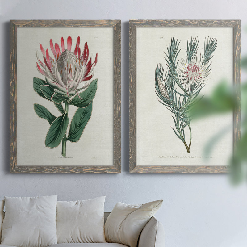 Protea N13 - Ensemble de 2 peintures sur toiles encadrées, H 44 po x l 31 po x P 1 po, Encadré gris