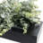 Artificial Eucalyptus Greenery Plant Black Pot