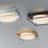 Rover LED Ceiling Mount-1020510438-1020510439