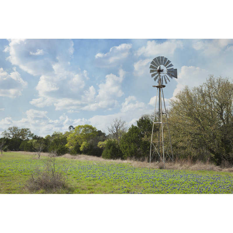 «Windmill and Bluebonnets» par Willard - Photographie sur toile tendue, H 12 po x l 18 po