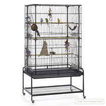 Bird Cage Buying Guide: How to Choose the Best Option