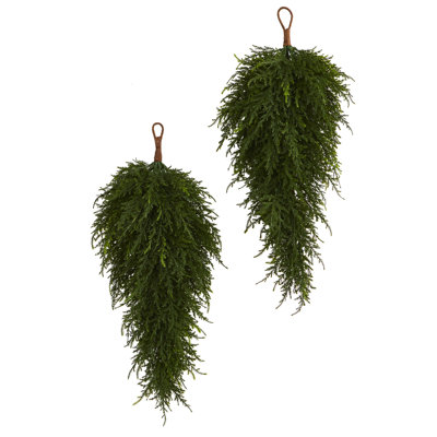 Cedar Arrangement