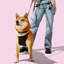 Harnais pour animal de compagnie Arlo-112400901