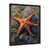 Black Single Picture Framed