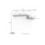 Meagher Wall 2 - Hook Wall Mounted Coat Rack-1277719205