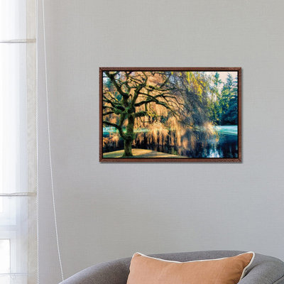 Willow - Print on Canvas