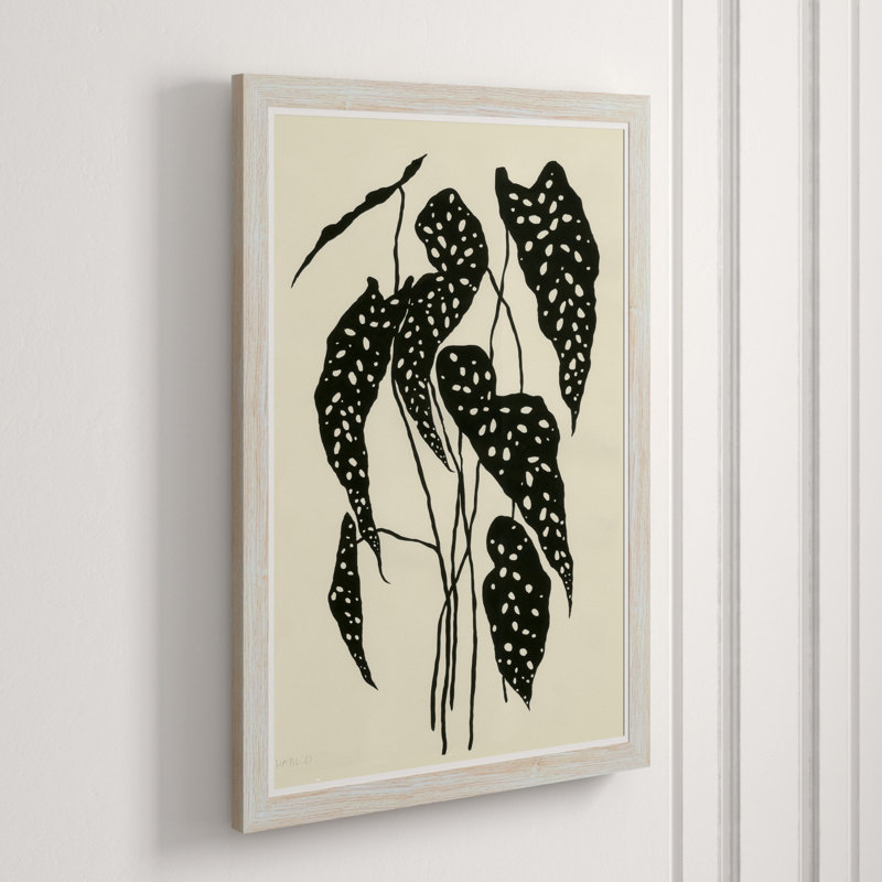 Begonia Giclee Print by Susan Hable