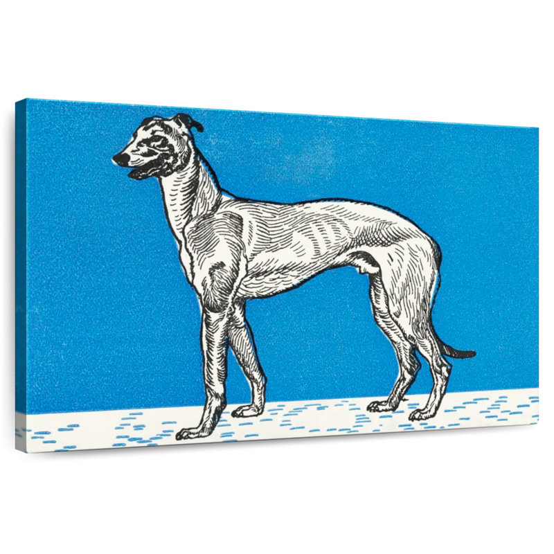 Brampt Greyhound III, 16" H x 24" W