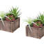 Lot de 2 plantes succulentes artificielles, 25 cm de hauteur, fausse verdure avec pots en bois brun pour la décoration de table
