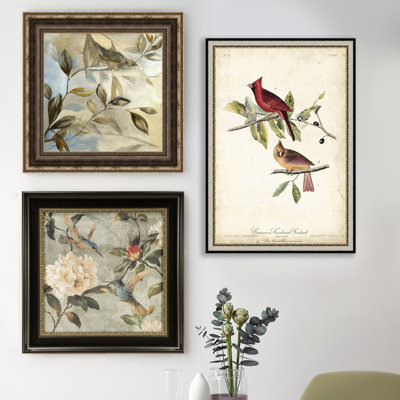 " Common Cardinal Grosbeak "