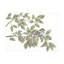 Art mural sur toile «bol Leslie Trimbach»-101102124