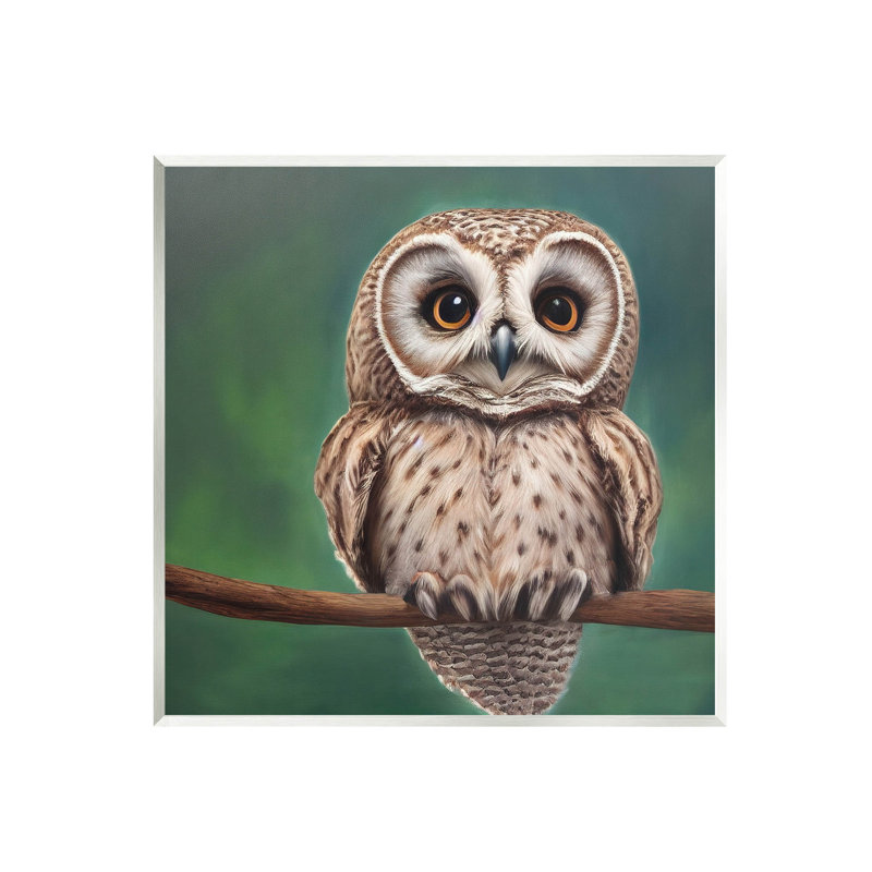 «Gazing Spots Owl Nature» par Alpenglow Workshop - peinture sans cadre sur panneau de fibres à densité moyenne