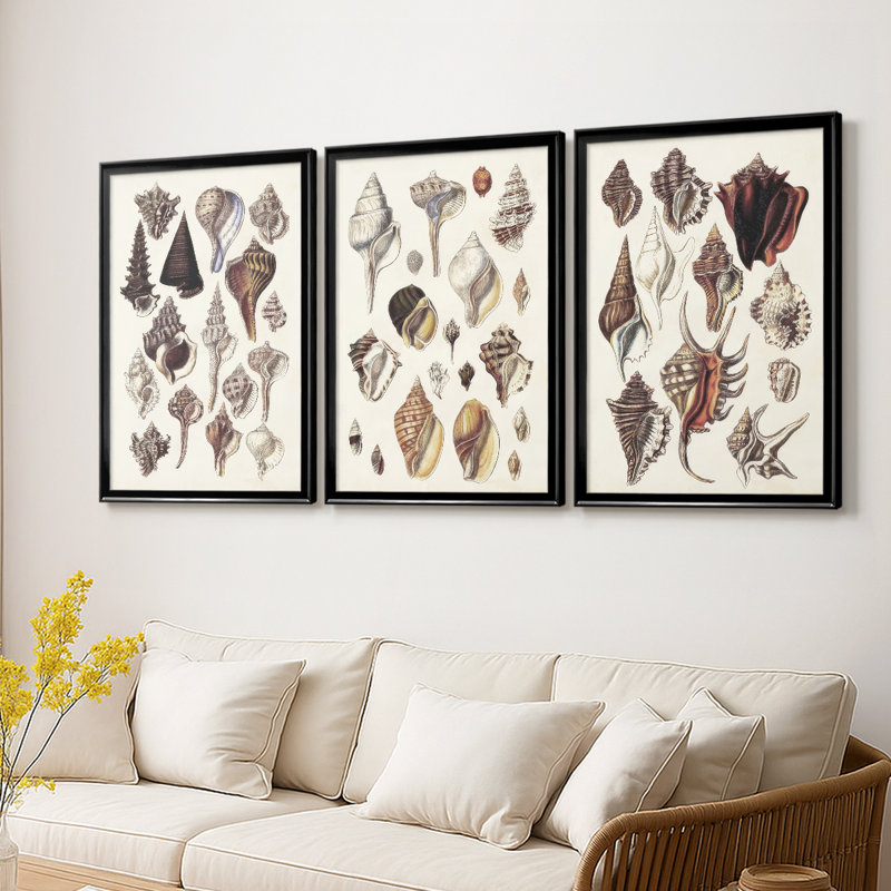 Seashell Array I - Toile tendue avec châssis sur mesure - 3 pièces, Noir, H 21 po x l 30 po
