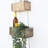 3 Piece Spruce Tiered Shelf