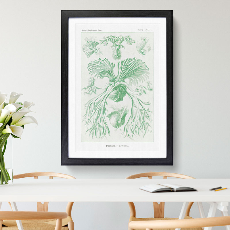Ferns Vol.2 by Ernst Haeckel - Picture Frame Painting, Black Framed, 48cm H x 36cm W x 2cm D