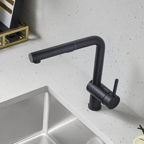 Blanco Linus Pull Out Dual Spray Kitchen Faucet & Reviews | Wayfair