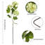 5 pièces fleurs artificielles hortensia 67cm fleur artificielle Hortensia Bouquet Faux Flower Table maîtresse pour la maison de mariage Bouquet de mariée bricolage décoration