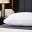 Air Mesh L75 x W50cm Medium Support Pillow