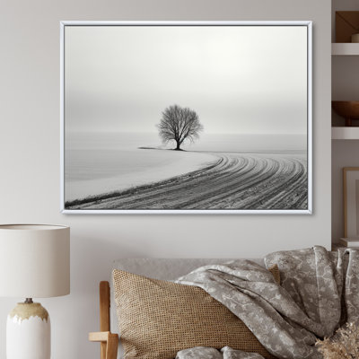 Paysage d'hiver photo II