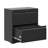 Black 2 Drawer Lateral Filing Cabinet, Cold - Rolled Steel Construction, Quiet Slide Rails, Adjustable Hanging Bar, Large Space For Letter/A4/F4 Folders, Lockable Drawers Cabinet Home Office,-1179601094