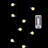 1236 " LED Indoor / Outdoor String Lights
