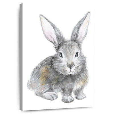 Bébé lapin Brampt