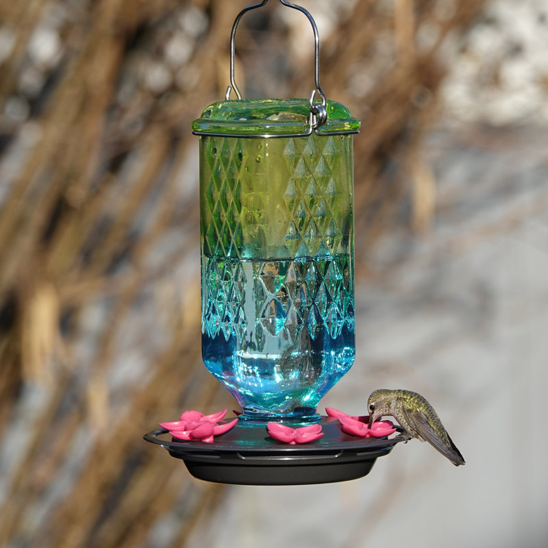 Colonne en verre antique colibri mangeoire ombre