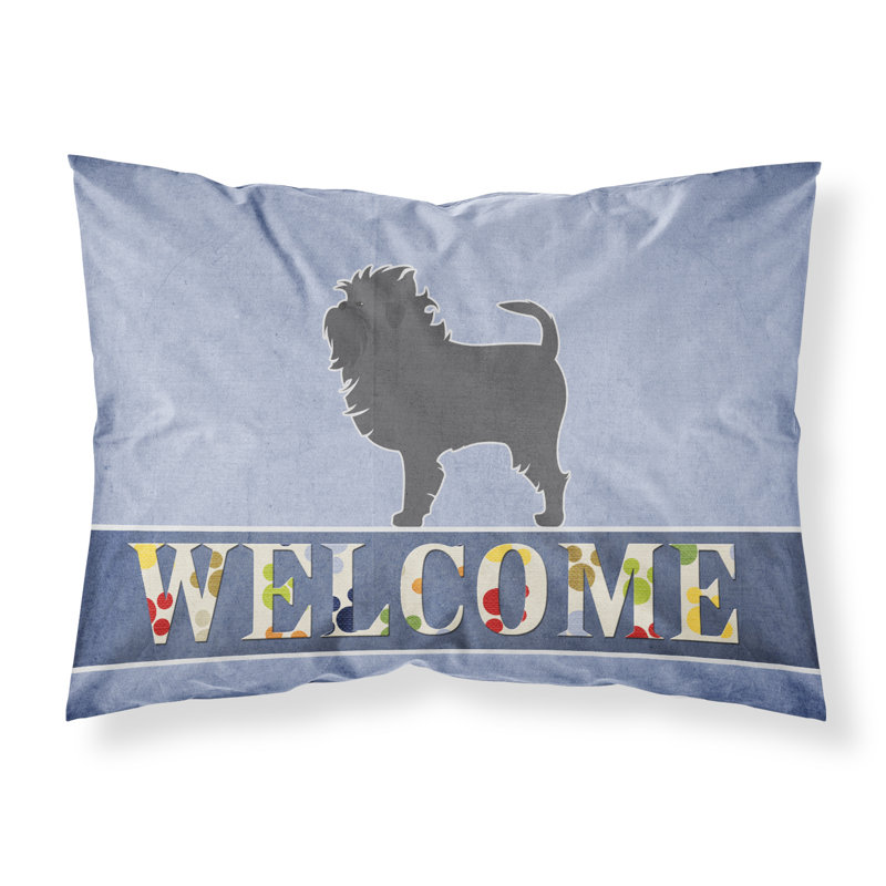 Microfiber, Affenpinscher