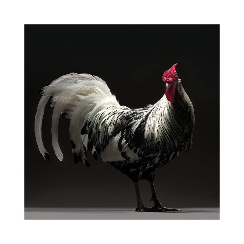 Hamburgh by CHICken - Wrapped Canvas Print, 30.48 cm H x 30.48 cm W