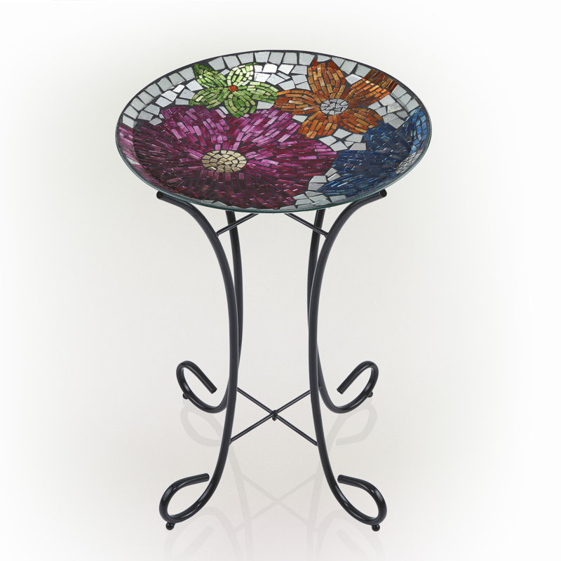 Bain d'oiseaux libellule, Multicolore
