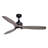 Ballog 52'' Ceiling Fan with LED Lights-342860766