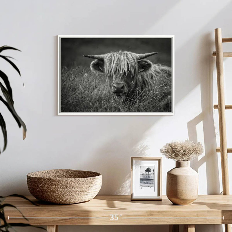 Île de Skye, Highland Catt BW, Cadre flottant blanc, 19 po x 13 po